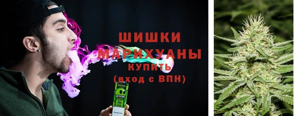 бутират Арсеньев