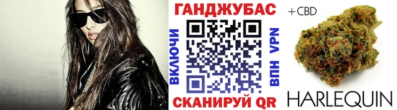 Канабис гибрид  Снежногорск 